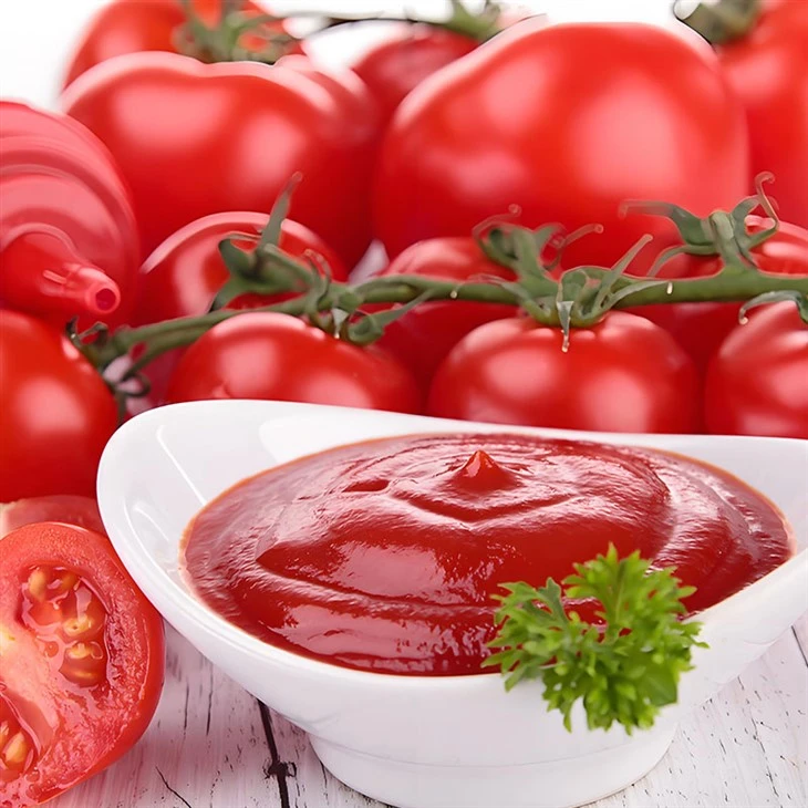 Ketchup Powder